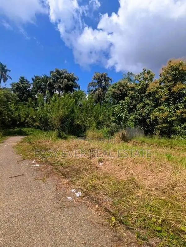 මීරිගම – හිරිවලින් වටිනා වෙන්දේසි ඉඩමක් විකිණීමට
