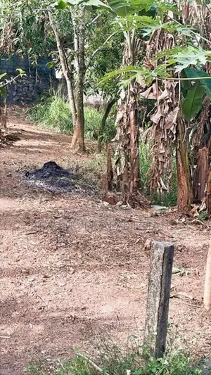 ගනේමුල්ල – තිබ්බොටුගොඩින් වටිනා නේවාසික ඉඩමක් විකිණීමට