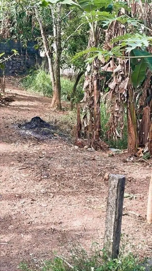 ගනේමුල්ල – තිබ්බොටුගොඩින් වටිනා නේවාසික ඉඩමක් විකිණීමට