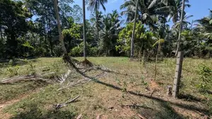 කඩවත - වෑබඩින් වටිනා ඉඩමක්