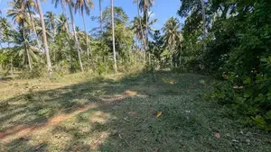 කඩවත - වෑබඩින් වටිනා ඉඩමක්