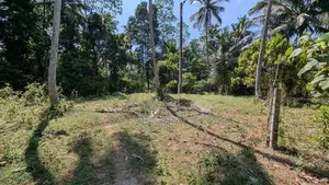කඩවත - වෑබඩින් වටිනා ඉඩමක්
