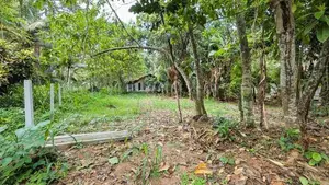 වේයන්ගොඩ උඩුගමෙන් වටිනා නේවාසික බිම්කොටසක් විකිණීමට