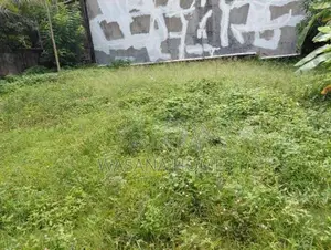Super Land for Sale Borelesgamuwa