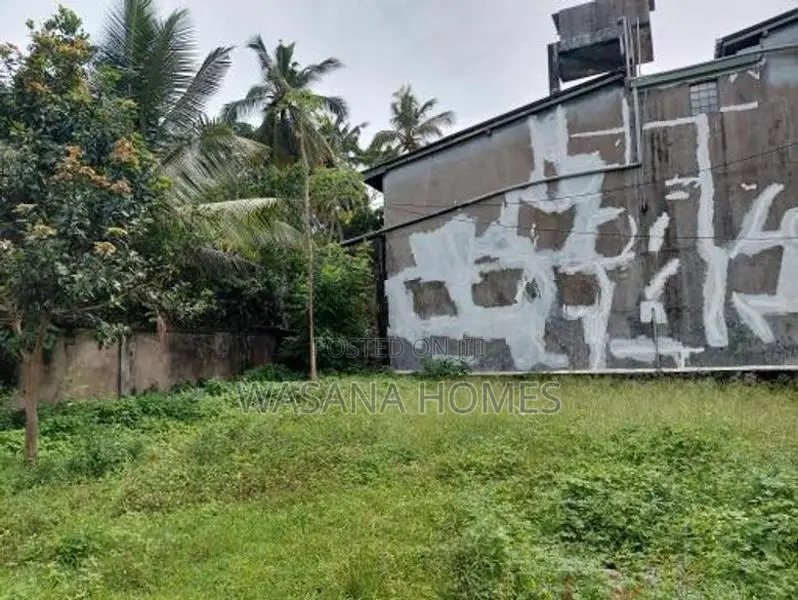 Super Land for Sale Borelesgamuwa