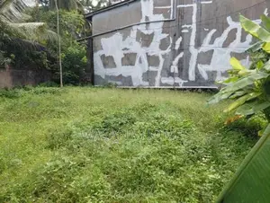 Super Land for Sale Borelesgamuwa