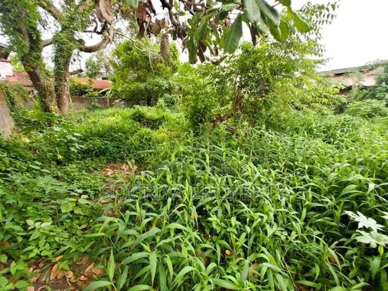 Highly Residential Land for Sale in Kadawatha