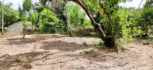 Lan For Sale In Gampaha