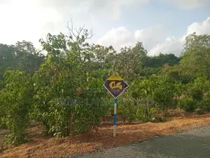 Lands for Sale in Ambalangoda