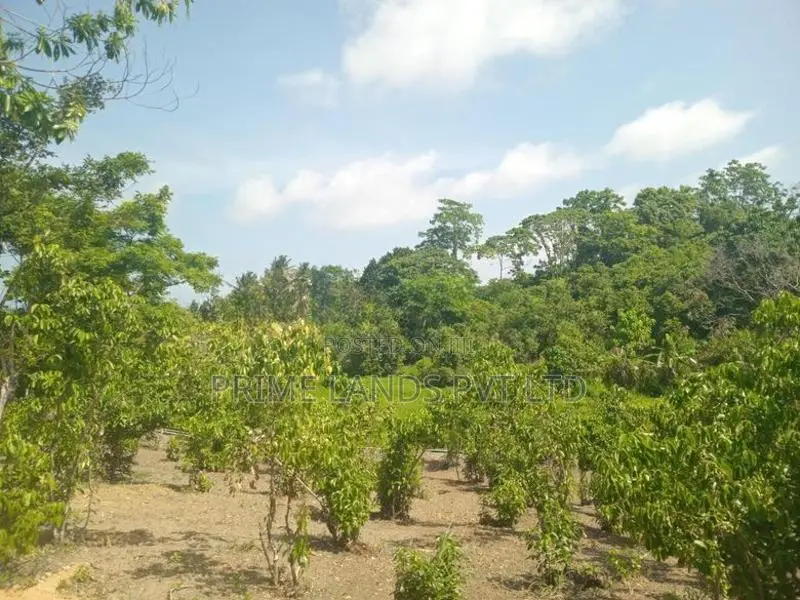 Lands for Sale in Ambalangoda