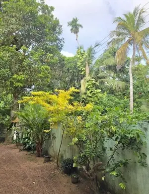 House for Sale in Bentota