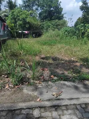 Land for Sale in Piliyandala -764