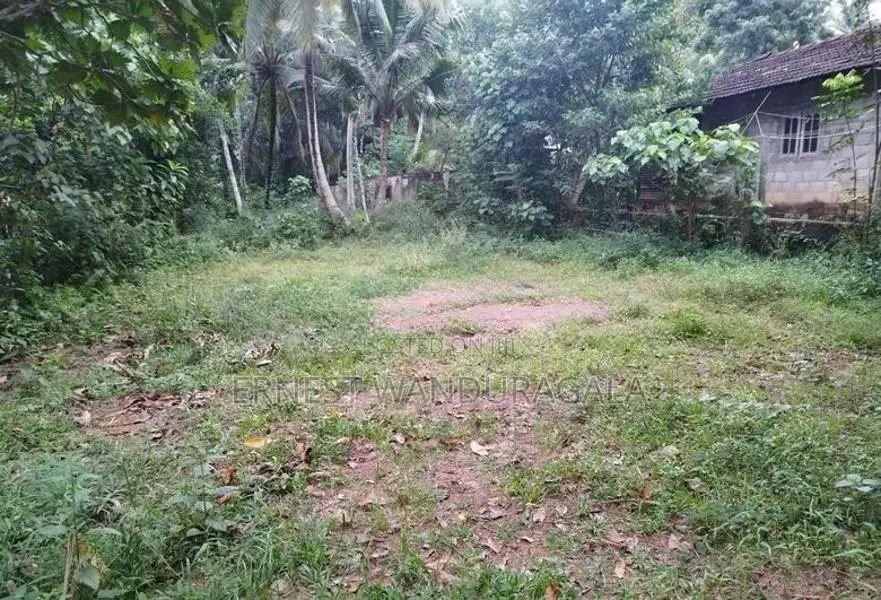 Land for Sale in Boralasgamuwa -767