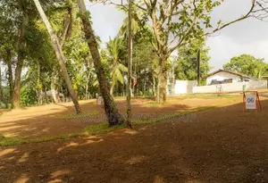 Scenic Paddy View Land Kottawa