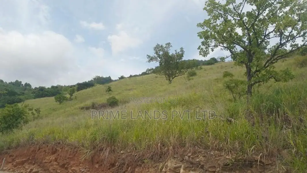 Land for Sale Nillamba