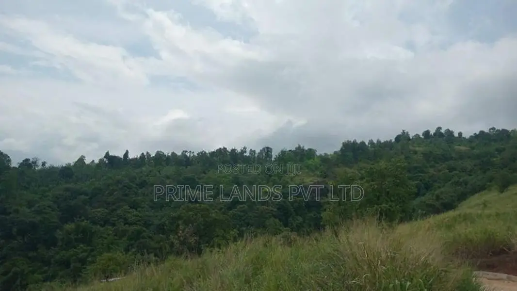 Land for Sale Nillamba