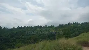 Land for Sale Nillamba