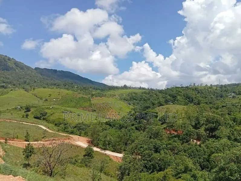 Beautiful Land for Sale Delthota
