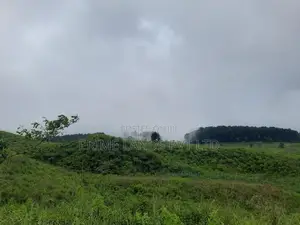 Land for Sale in Ramboda