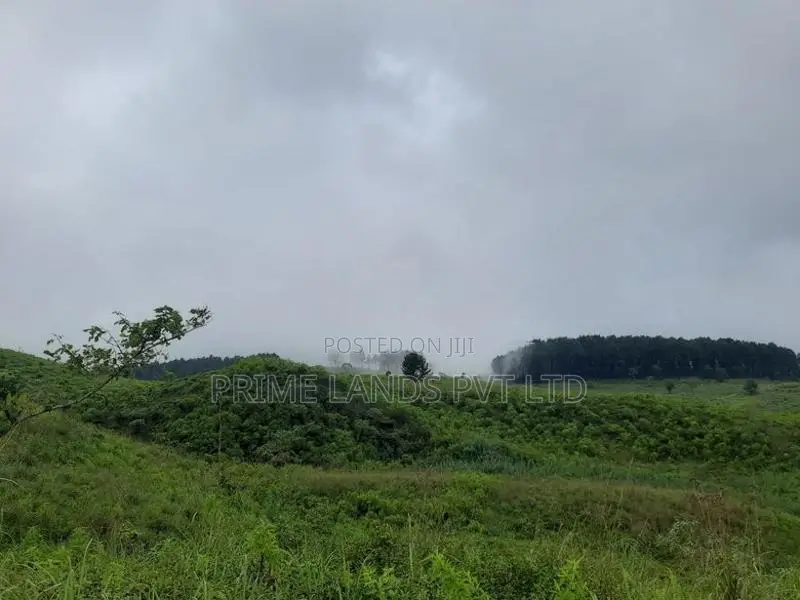 Land for Sale in Ramboda