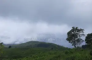 Land for Sale in Ramboda