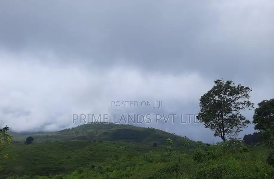 Land for Sale in Ramboda