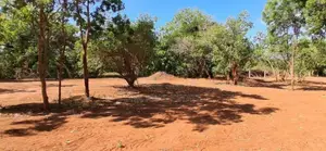 Land For Sale in Rekawa