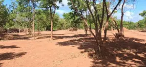 Land For Sale in Rekawa