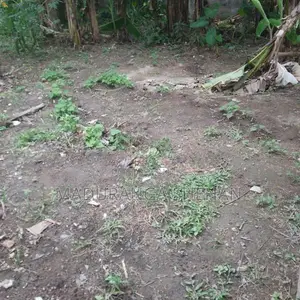 Land for Sale Bandaragma