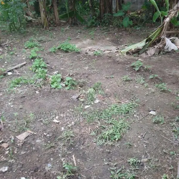 Land for Sale Bandaragma