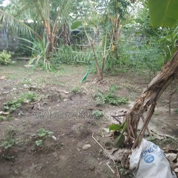 Land for Sale Bandaragma