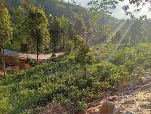 Beautiful Land Sale in Hadeniya