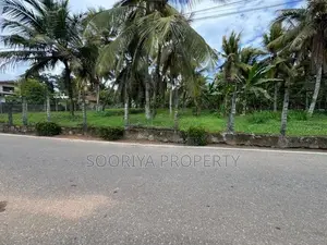 60 Perches Commercial Land for Rent in Piliyandala