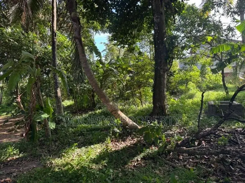 60 Perches Commercial Land for Rent in Piliyandala