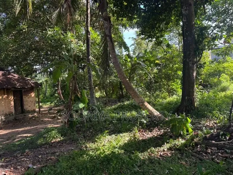 60 Perches Commercial Land for Rent in Piliyandala