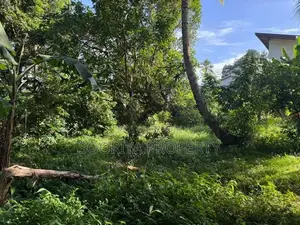 60 Perches Commercial Land for Rent in Piliyandala