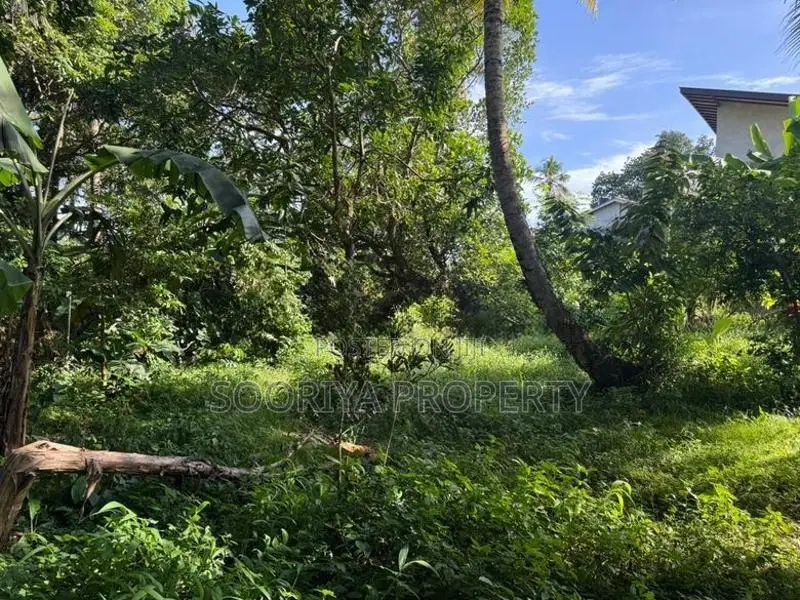 60 Perches Commercial Land for Rent in Piliyandala