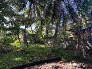 60 Perches Commercial Land for Rent in Piliyandala