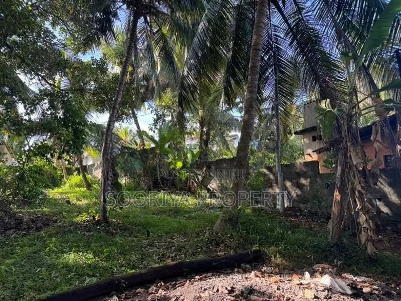 60 Perches Commercial Land for Rent in Piliyandala