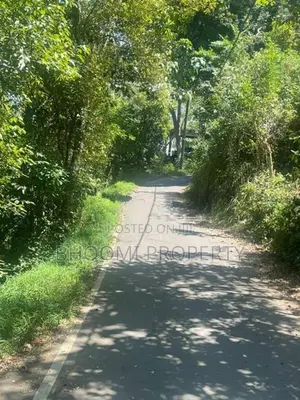දිගන නගරයට සමීපවම අගනා බිම් කොටස් කිහිපයක්