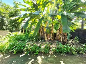6 Perches Residential Bare Land For Sale Thalawathugoda