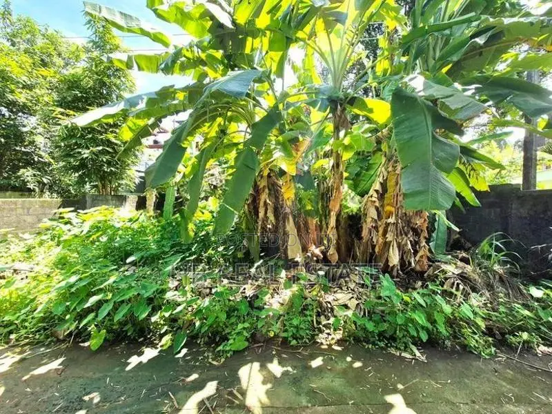 6 Perches Residential Bare Land For Sale Thalawathugoda