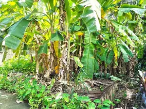 6 Perches Residential Bare Land For Sale Thalawathugoda