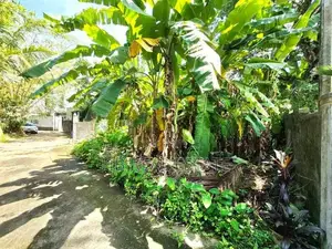6 Perches Residential Bare Land For Sale Thalawathugoda