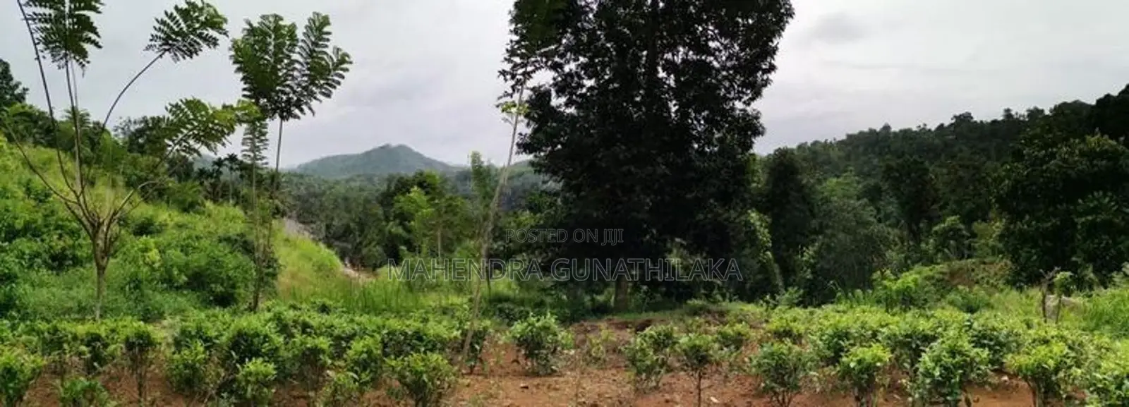 Land For Sale In Kegalle