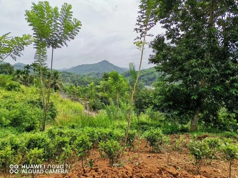 Land For Sale In Kegalle