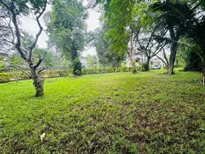 Land for Sale Boralasgamuwa