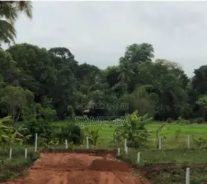 Land For Sale In Kurunegala