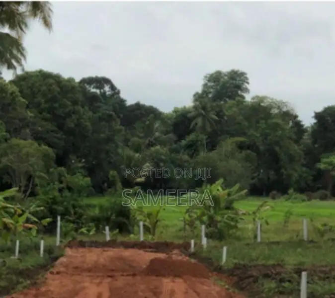 Land For Sale In Kurunegala