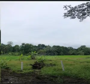 Land For Sale In Kurunegala